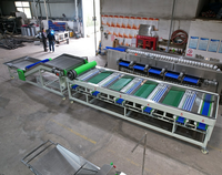Automatische Gailic sorteermachine, knoflook sorteermachine, groente- en fruit sorteermachine, tomaten sorteermachine