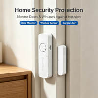 Capteur de contact porte/fenêtre NB-IoT EC91, détecteur magnétique sans fil avec alarme via application à distance pour la sécurité antivol à domicile