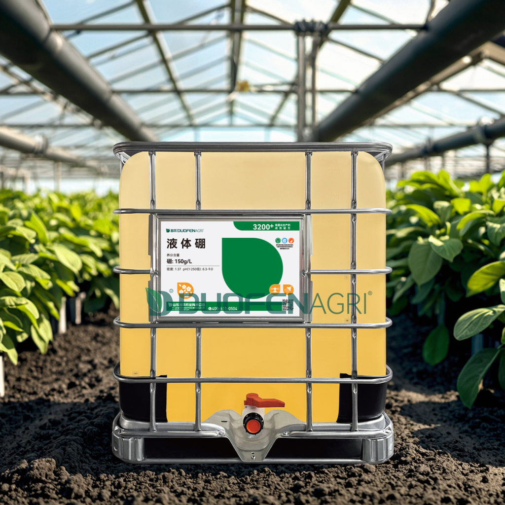Wholesale Liquid Boron Fertilizer for Flowering & Fruit Set