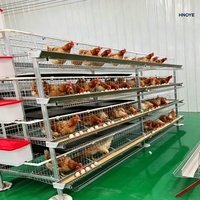 Cage à poulets de chair en forme de H à plusieurs niveaux, gain de place pour les exploitations avicoles à grande échelle