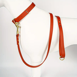 Suministros para mascotas más vendidos para hebilla de verano para correa de perro collares y correas de perro personalizados gancho de correa de pana colorida para mascotas - Product Image 4