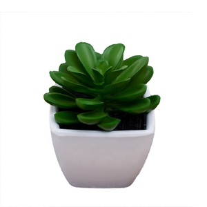 Barato de la fábrica al por mayor mini <span class=keywords><strong>cactus</strong></span> surtido interior decorativo artificial plantas suculentas macetas para laventa - Product Image 1