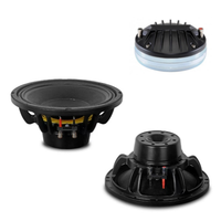 Altavoz Line Array Profesional KA210 con Dos Drivers de Neodimio de 10 Pulgadas para Sistema de Sonido PA en Escenarios y Clubs