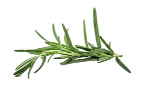 Extracto de Romero con 10% de Ácido Carnósico, Antioxidante Natural de Grado Alimenticio para Productos Cárnicos, Fabricado en Fábrica - Product Image 4