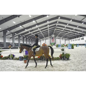 Structure légère en acier à portée sans métal Préfabriqué Intérieur Riding Arena Barn Shed House Design pour fermes pour propriétaires de chevaux - Product Image 6
