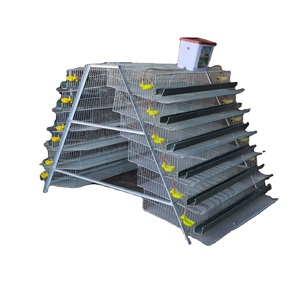 Pas cher UN type galvanisé cage de caille d'équipement animal ferme <span class=keywords><strong>maison</strong></span> bâtiment à vendre - Product Image 1