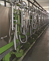 Ligne de production de semelles de chaussures en EVA chaudes et froides MTPP-35T avec moteur comme composant central