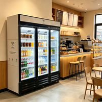 Refrigerador Vertical con Puerta de Vidrio, Enfriamiento por Aire Sin Escarcha, para Exhibición Comercial de Bebidas en Tiendas y Servicios de Catering