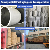 Banda Transportadora de Caucho Resistente a Químicos, Tamaño Personalizable, Resistente al Calor, al Fuego y al Aceite, Marca TianOu, Alta Calidad