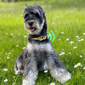 KI-gesteuerter Moderner Gesundheitsmonitor-Halsband mit Schnellverschluss, Wiederaufladbar & Langlebiges Design, 24/7 Vitalzeichen-Alarme für Haustiere - Product Image 5