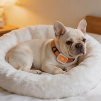 Traceur GPS pour chien avec géolocalisation, pour le camping en plein air, la chasse, dispositif anti-perte pour animaux de compagnie, 4G WIFI, collier de suivi pour chien et chat