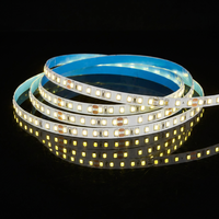 Lampu LED SMD 2835 120 LED Lebar 8MM DC 12/24V 10.5W/M Lampu Strip LED Satu Warna Putih Hangat/Netral/Dingin Peredupan Cahaya