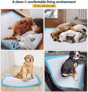 Colliers d'entraînement pour chiens/animaux de compagnie de la marque CDHB, de haute qualité, respirants, écologiques, fabriqués en fibre, directement de l'usine, à prix abordable - Product Image 3