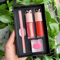 Ensemble de maquillage pour les lèvres 4 en 1, gloss à lèvres, crayon à lèvres, rouge à lèvres, masque pour les lèvres, cosmétiques longue durée, emballage personnalisé OEM