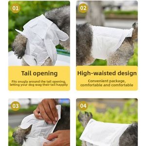 Culottes absorbantes jetables anti-fuite pour chien, modèle 003, pour chiennes et chiens - Product Image 3