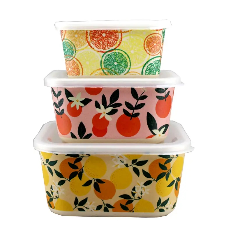 Plastic Lunch Bento Box BPA Free Non-Toxic Eco-Friendly Food Lunch Box With plastic lid