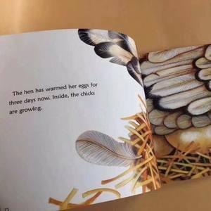 Servizi di pubblicazione di libri a colori personalizzati con copertina morbida per bambini per la stampa di libri per bambini in inglese - Product Image 6