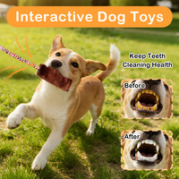 Jouet interactif pour chiot avec poignée confortable et élastique, jouet à tirer durable pour chien, jouet balai pour chiens