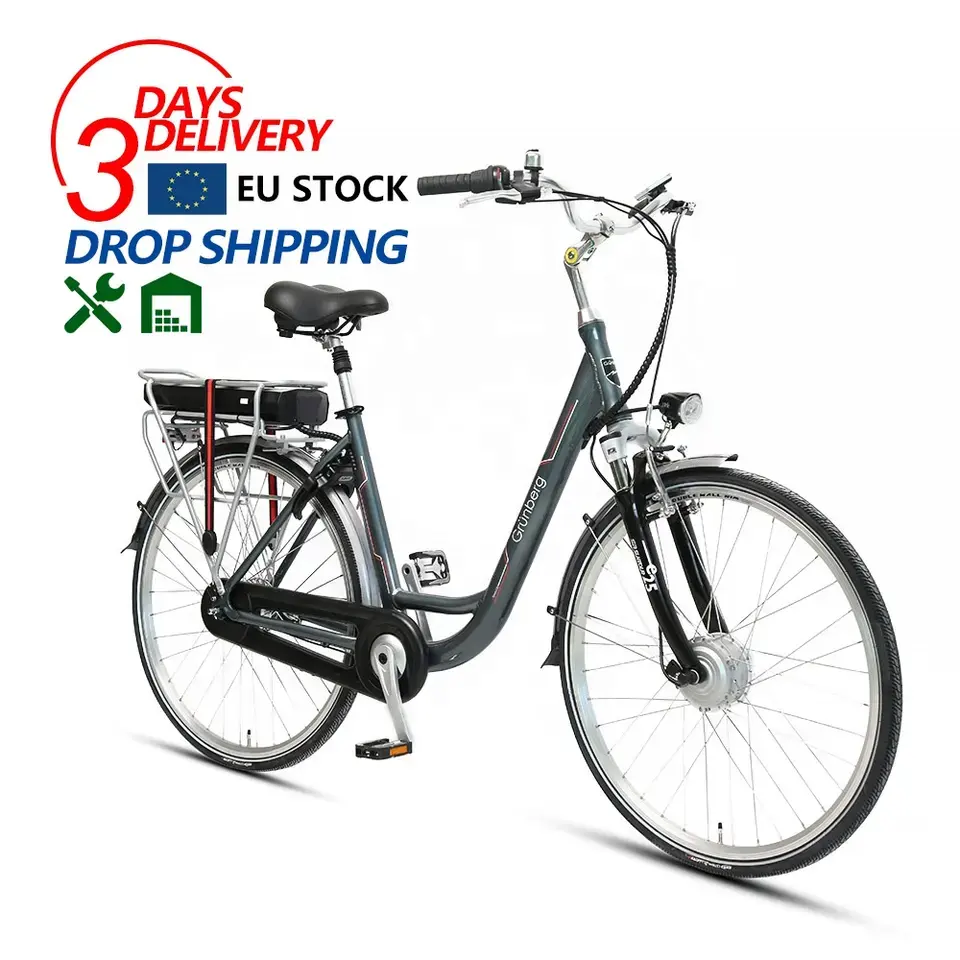 TXED Trendy 36V/250W motore 13Ah batteria con pannello LCD 700C city bicycle ebike city bike