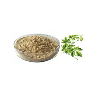 Gypenosides 80% 98% Jiaogulan gynostemma pentaphyllum תמצית