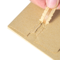 100% enveloppe ondulée rigide biodégradable et compostable avec sacs postaux intérieurs et extérieurs en papier kraft et en papier de surf