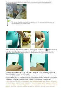 Incubadora Continua para Pollos, Patos y Gansos, Incubadora Avícola, Equipo Automático de Conteo y Vacunación - Product Image 5