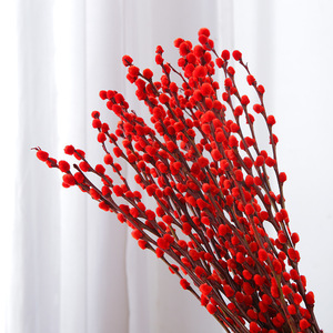 Branches de saule rouge séchées argentées pour culture hydroponique, <span class=keywords><strong>d</strong></span>écoration intérieure pour salon, Nouvel An lunaire - Product Image 1