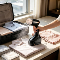 Fer à vapeur portable électrique pour vêtements, réservoir d'eau amovible, défroisseur vertical pour vêtements, défroisseur à main