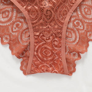 Của Phụ Nữ Trong Suốt Ren TRIM Panties với nịt tất vành đai bán buôn sexy đồ lót - Product Image 4