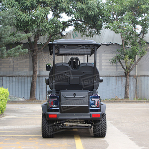 Carrito de Golf de Lujo Shininglsv de 48 Voltios, Carrito de Golf con Batería de Litio de 72V, Carrito de Golf de 48 Voltios - Product Image 6