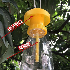 Piège à mouches des fruits en plastique pour le contrôle des insectes dans le jardin - Product Image 3