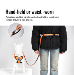 Truelove, venta al por mayor, correa ajustable de nailon para perro, cuerda elástica de liberación rápida, acolchada, reflectante, duradera, manos libres, cuerda de plomo para mascotas de lujo - Product Image 4