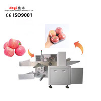 Nieuwe Horizontale Appelfruit Kussenverpakkingsmachine Plastic Papierfolie Behuizing Kernpompcomponenten Data Etiketteerzakvulling