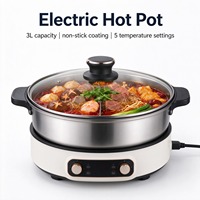Casserole électrique