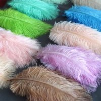 Vente en gros de 15 à 20cm plumes d'autruche duveteuses teintes motif brut pour mariage carnaval vase fête événement décoration