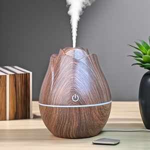 Precio al por mayor USB Essential Aroma Humidificador Difusor Rose Design Electric Car Aroma Difusor - Product Image 4