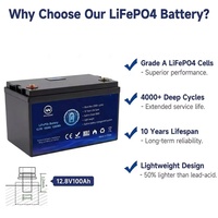 Baterai Deep Cycle Grade A 12v 24v 50ah 100ah 150ah 200ah Solar Lifepo4 Lithium Penyimpanan Energi Portabel