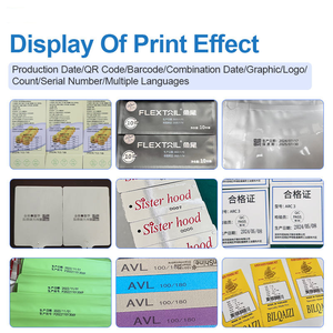 Impresora de Inyección de Tinta TIJ de Alta Velocidad y Tamaño Compacto para la Codificación Confiable de Fechas, Códigos QR y Etiquetas en Diversos Materiales de Empaque - Product Image 5