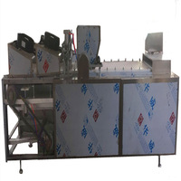 Ligne de production de barres céréalières, machine à bonbons au sésame, ligne de production de boules de riz sucrées