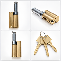Cylindre de serrure à goupilles en laiton avec 3 clés incluses, gorge personnalisable, pour cadenas et serrures de porte