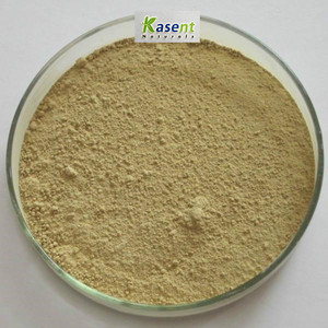 Hữu Cơ Gynostemma pentaphyllum chiết xuất bột gypenosides 98% - Product Image 3