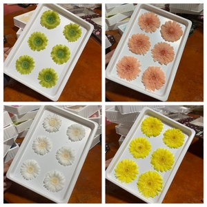 Décoration de mariage à domicile : Fleurs de chrysanthème multicolores longue durée et gerberas éternelles – Vente en gros, approvisionnement en vrac, cadeau - Product Image 4