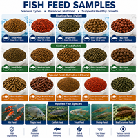 Ligne de production d'extrudeuses pour aliments flottants pour poissons et crevettes, équipement de traitement des granulés d'aliments aquatiques