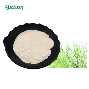 Almacén de EE. UU. de calidad superior Salix Alba Extracto <span class=keywords><strong>Salicin</strong></span> <span class=keywords><strong>White</strong></span> <span class=keywords><strong>Willow</strong></span> Bark Extract Powder 98% <span class=keywords><strong>Salicin</strong></span> <span class=keywords><strong>HPLC</strong></span> - Product Image 3