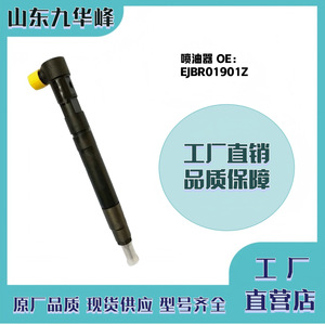   ชุดหัวฉีดคอมมอนเรล EJBR01901Z สำหรับเครื่องยนต์ดีเซลของรถยนต์ Kia Hyundai - Product Image 4