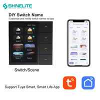 Interrupteur intelligent Shinelite à livraison rapide, prend en charge 4 lumières et 4 rideaux, interrupteurs Zigbee, écran tactile, système d'automatisation domestique