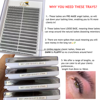 Extensions de cils synthétiques Angel Lashes Wet Set 5D préfabriquées, effet anime, pointues et vaporeuses, 0.07mm C CC D DD, marque privée, sans cruauté animale