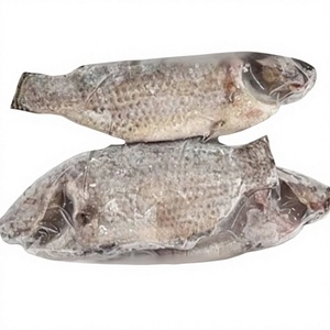 VAN BACH TUNG VN Premium Whole Frozen Roughy High Quality Price High Nutritional Value 100% Natural <b>Vacuum</b> - Product Image 1