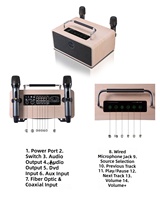 Amplificateur KTV portable personnalisé pour la maison, enceinte de karaoké en bois avec 2 micros sans fil, entrée multimédia