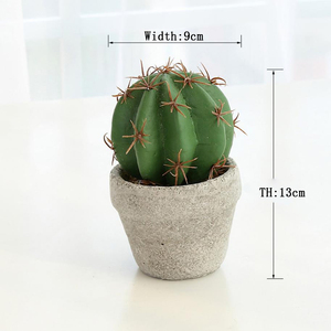 หม้อทรงกระบองเพชรผ้าไหมเทียม,การส่งออกสำหรับ Euphorbia Macetas - Product Image 4